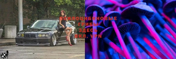 дурь Волосово