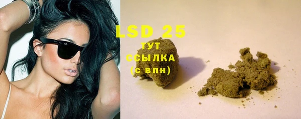 дживик Володарск
