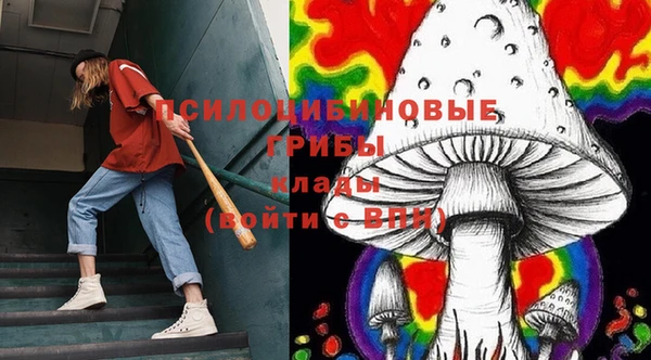 каннабис Коряжма