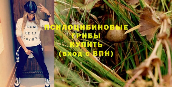дживик Володарск