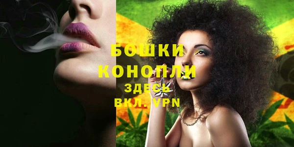 дживик Володарск